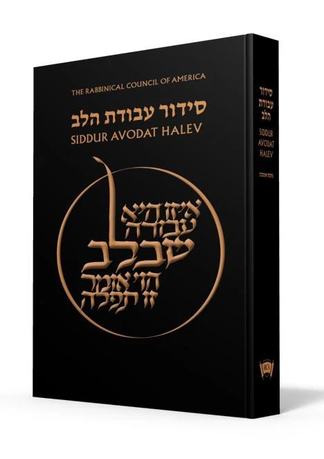 תמונה ממוזערת 1